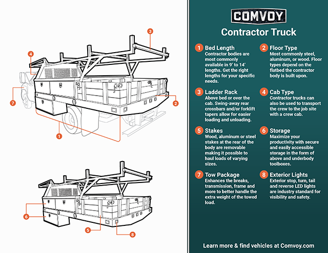 contractor body infographic