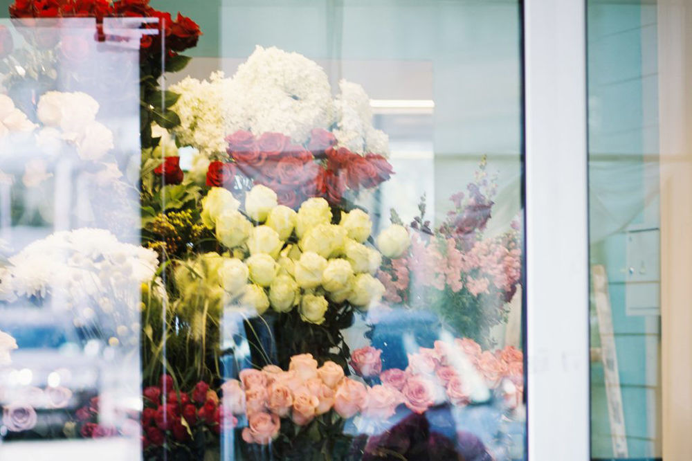 flowers in a window