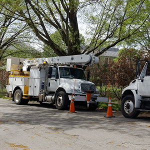 Utility trucks at work